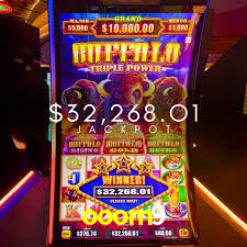 Descubra o Mundo do Cassino Online com ooom9